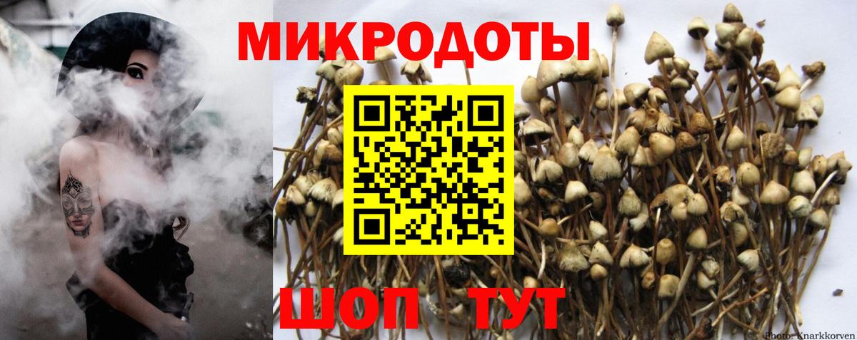 Псилоцибиновые грибы Cubensis  Вход с VPN  Кингисепп  Галлюциногенные грибы GOLDEN TEACHER 